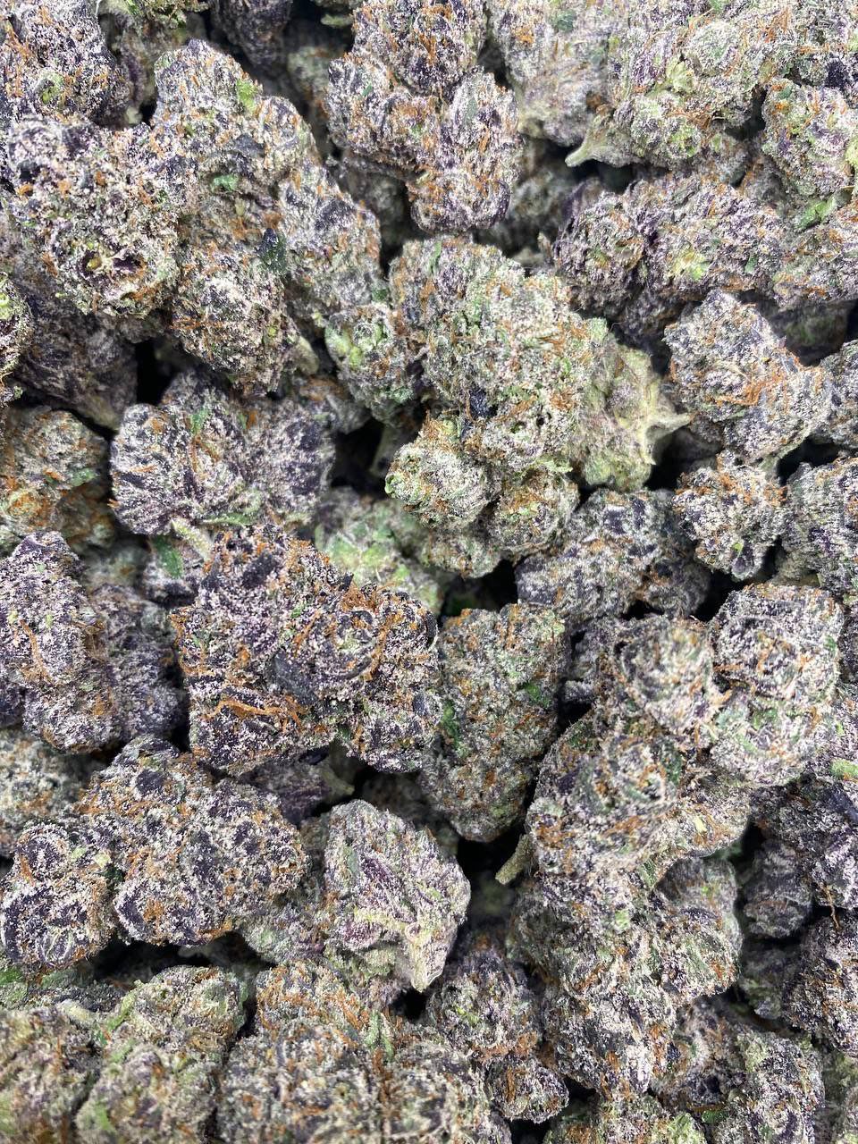 IMG_20240605_131431_540