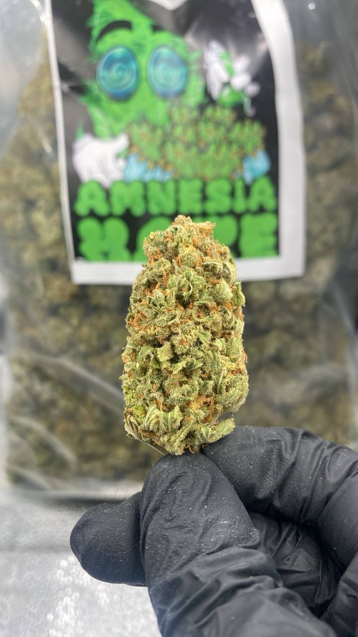 IMG_20241207_050251_767